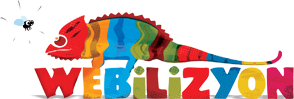 Webilizyon - İnternet Hizmetleri